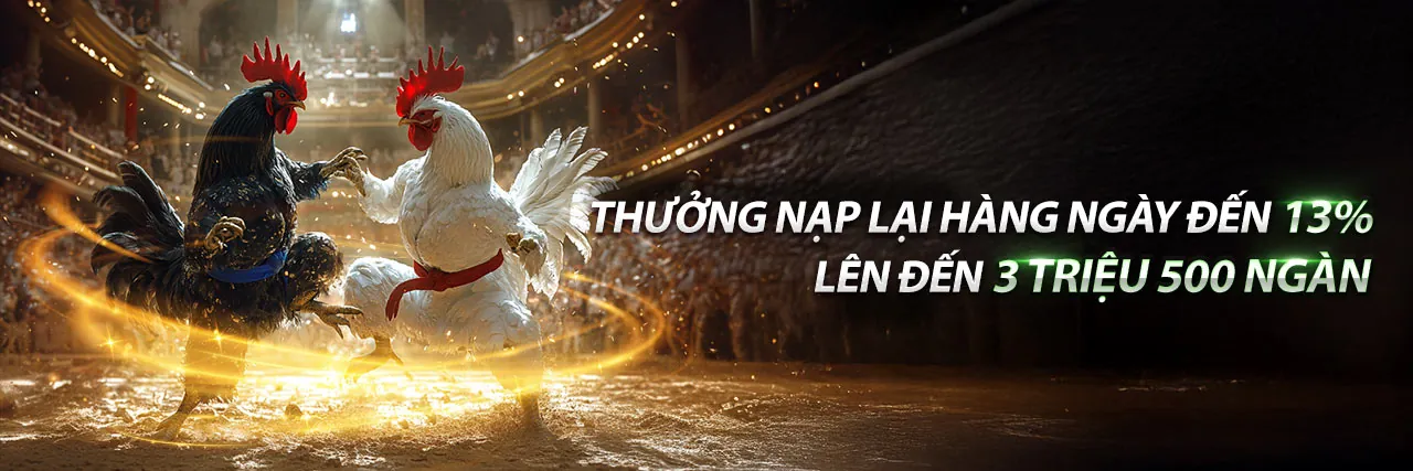 Đá gà trực tuyến 99kl với các chiến kê dũng mãnh